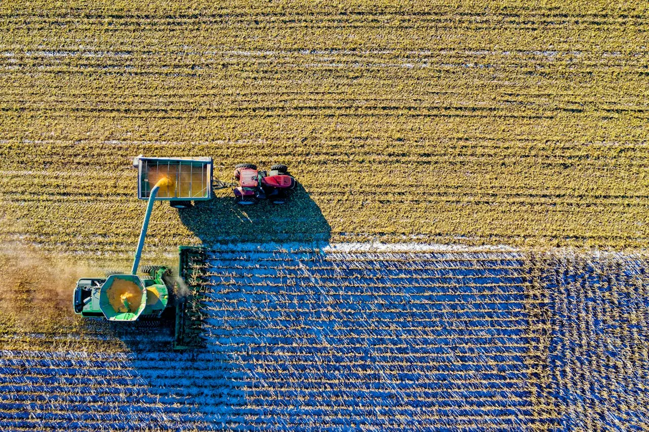 Aerial view of a field being harvested